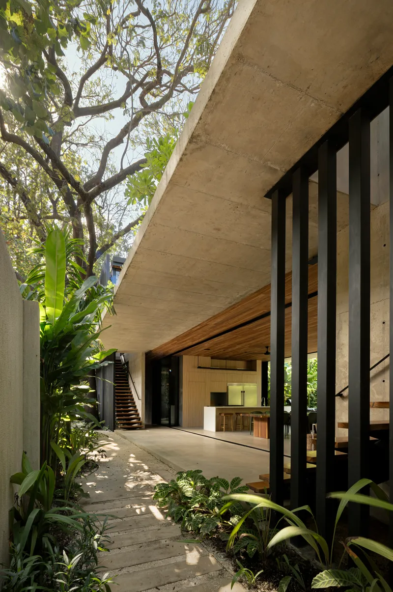 Covered walkway with concrete structure and planted beds beneath established tree canopy