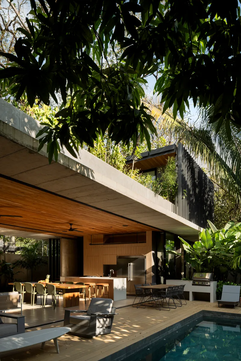 Poolside terrace with timber ceiling and concrete slab shaded by overhanging foliage