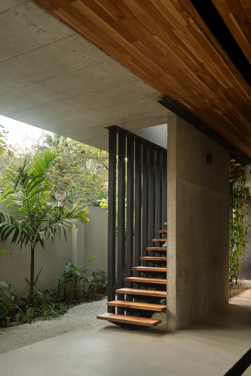 Cantilevered timber staircase with vertical metal balustrade in a planted courtyard