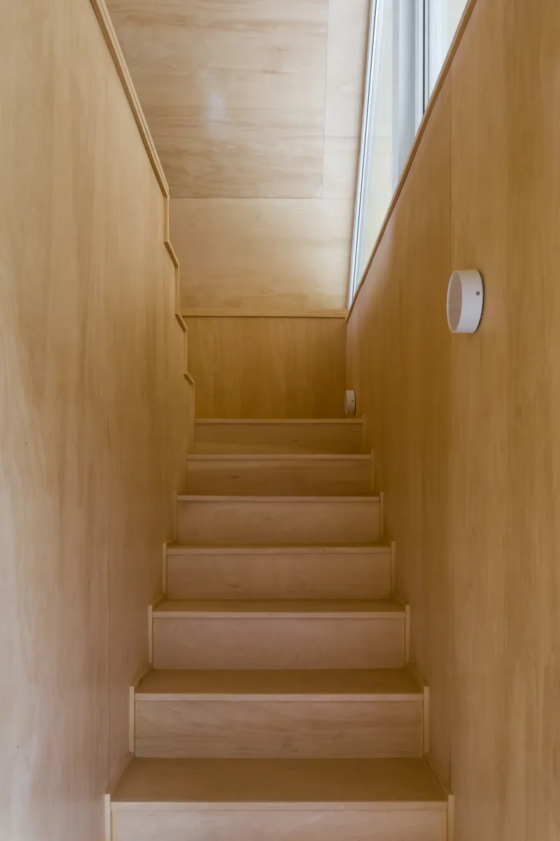 Narrow plywood staircase ascending toward a skylight between continuous timber walls and ceiling
