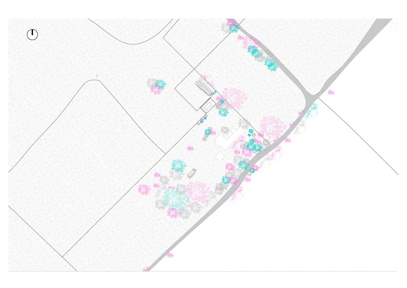 Site plan drawing with color-coded vegetation and the structure positioned along a diagonal roadway