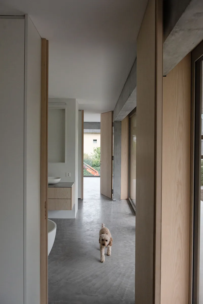 Concrete hallway with timber doors and a small dog walking toward a distant courtyard opening