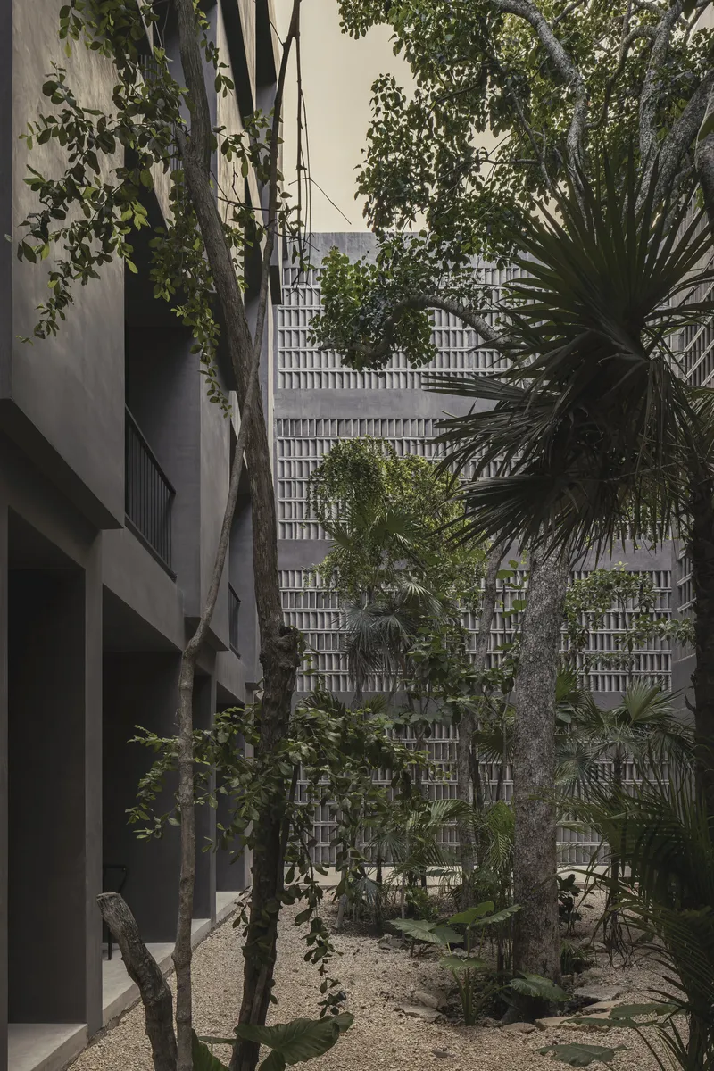 Courtyard garden with mature trees and palms between concrete volumes and a cast concrete block screen wall