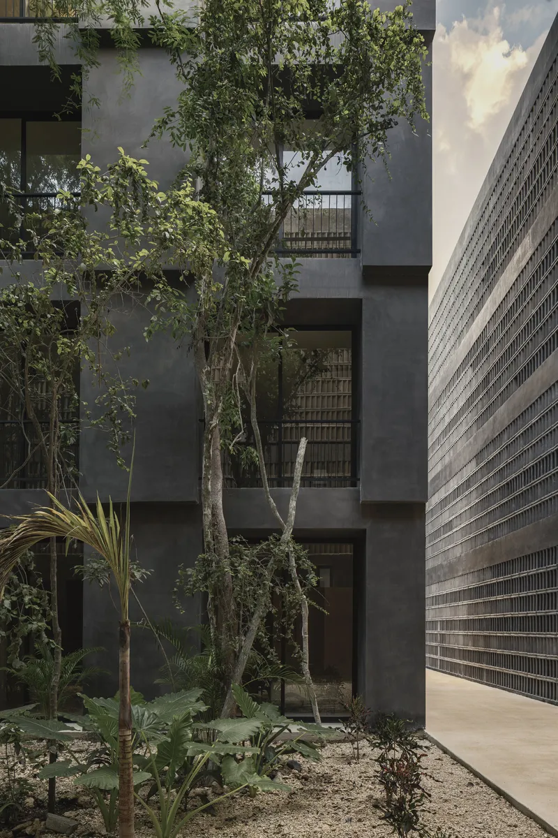 Interior courtyard showing planted trees against smooth concrete walls and horizontal louver facade