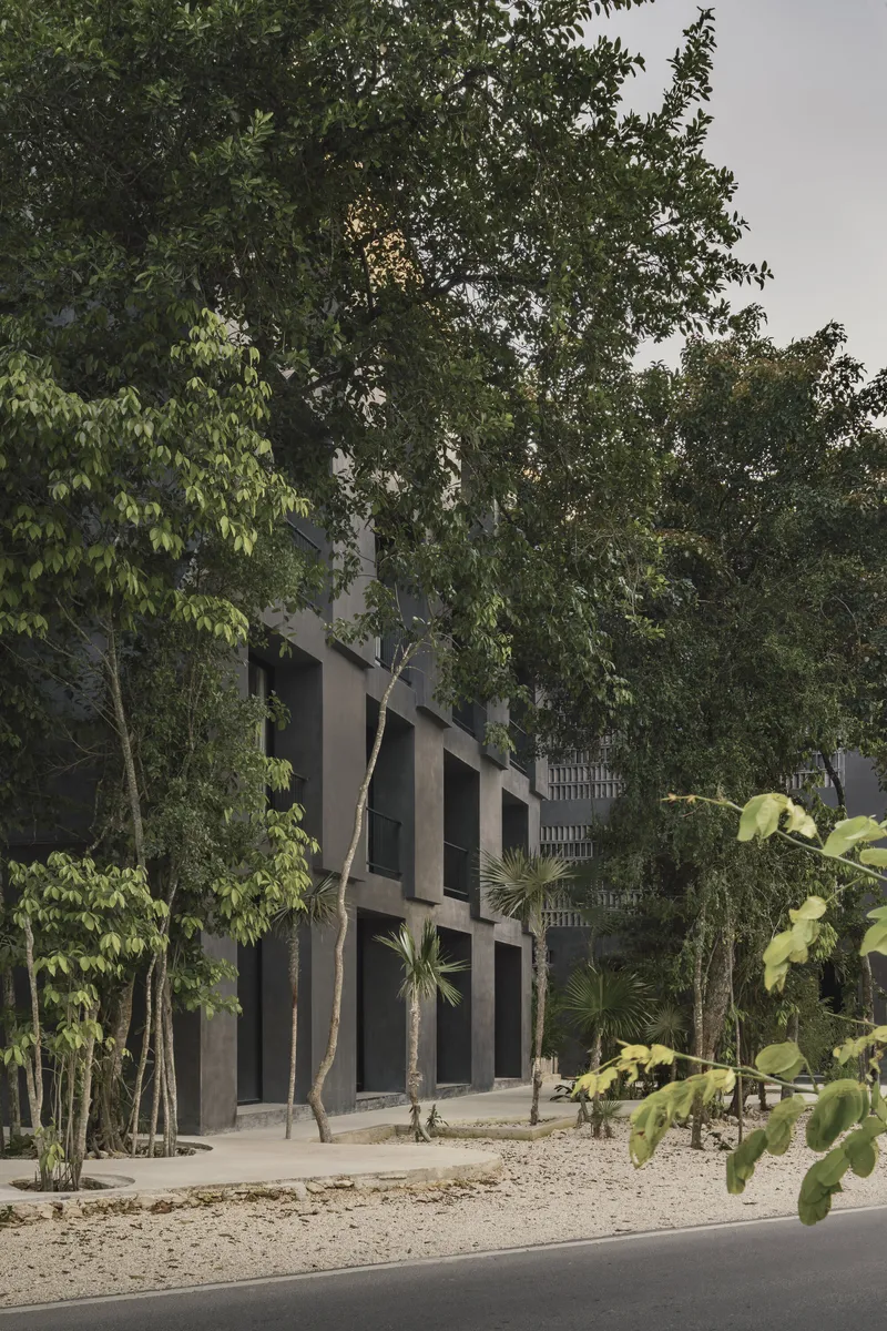 Street view of the raised concrete volume with deep openings set among mature trees at dusk