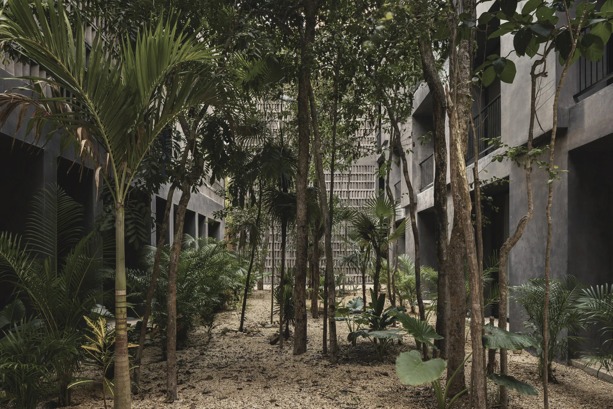 Three Studios Build 200 Affordable Units for Tulum's Displaced Hospitality Workers