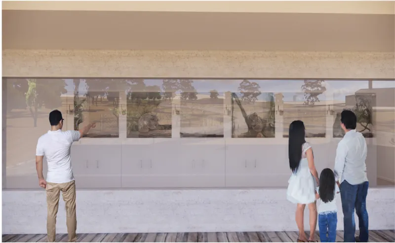 Rehabilitation viewing gallery allowing visitors to observe koala care without disturbing wildlife recovery.