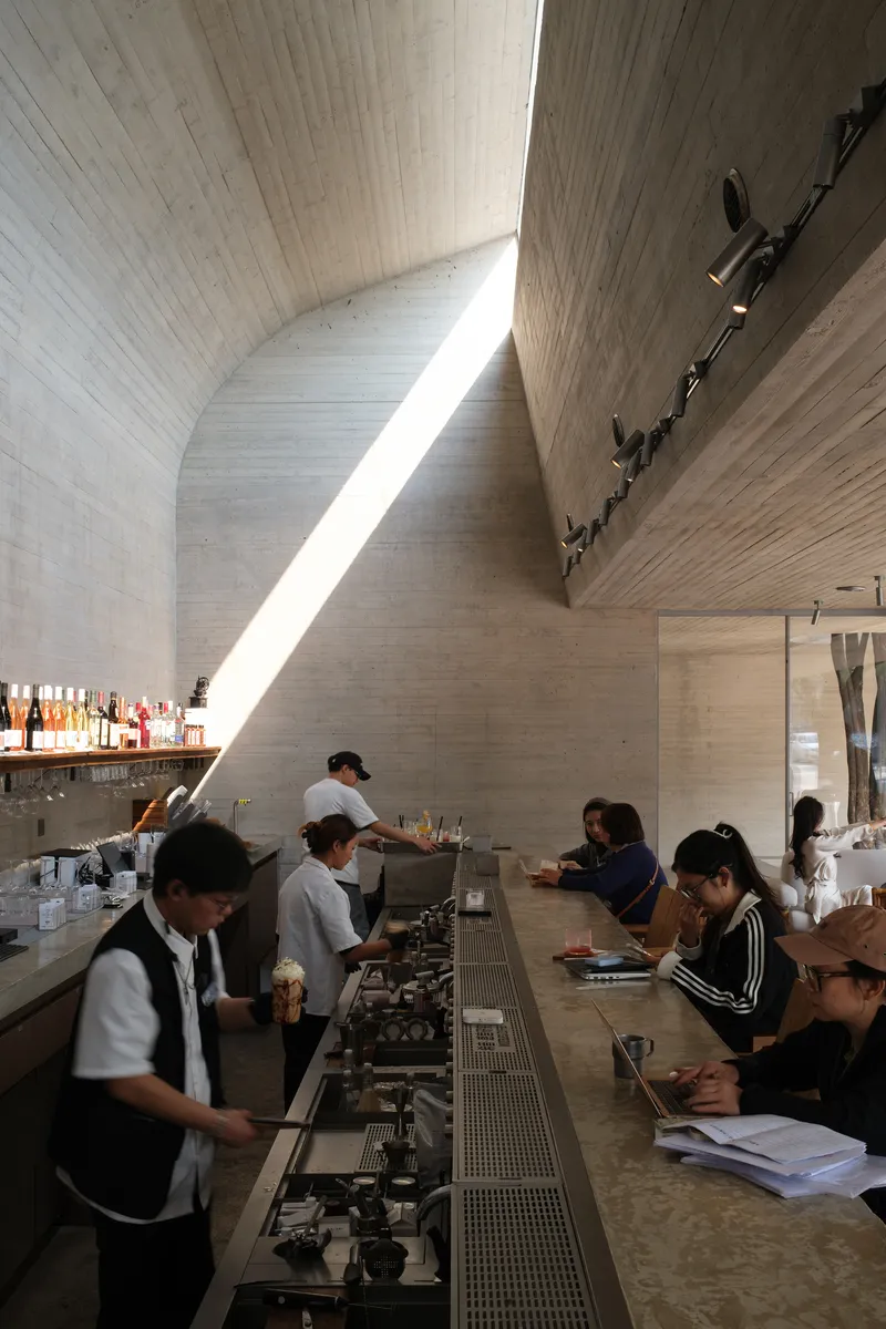 Interior coffee bar with curved timber ceiling and skylight casting bright daylight across baristas and patrons