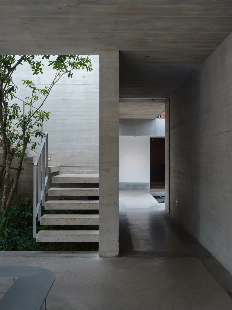 Concrete corridor with cantilevered stairs ascending past a planted courtyard with a young tree