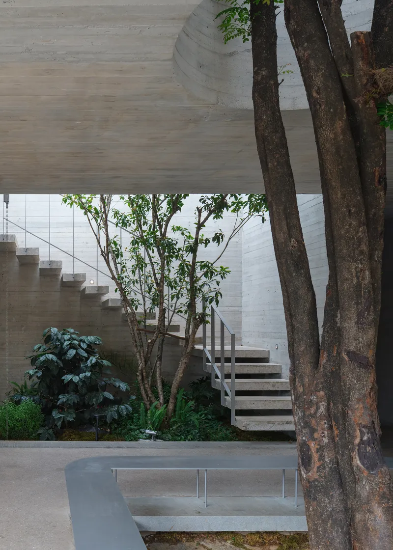 Interior courtyard showing floating concrete staircase alongside preserved tree trunks and planted greenery