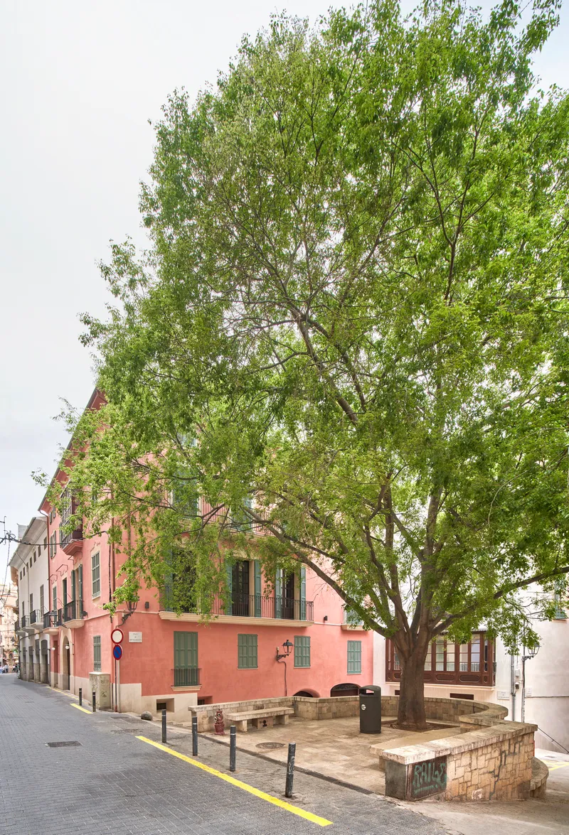 Street view of a coral-painted facade with tree canopy and stone paving under overcast sky