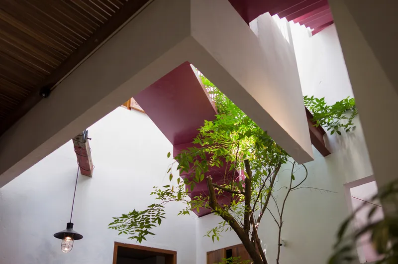 Looking up at the interior courtyard with a small tree and pink stair underside against white walls