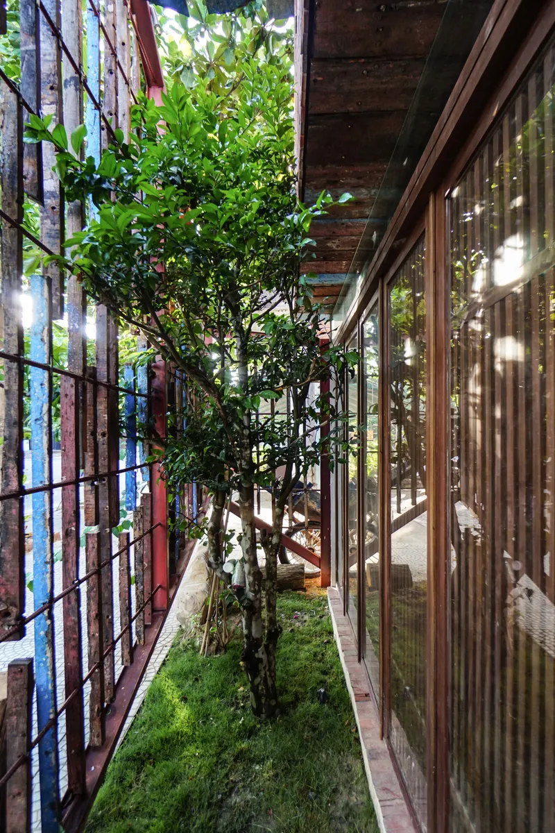 Narrow courtyard with moss ground cover and planted tree between reclaimed wood screens