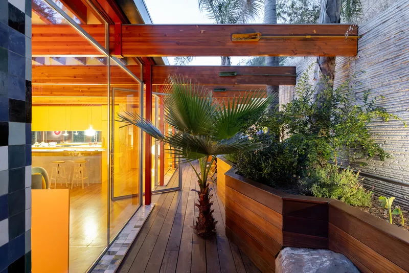 Timber deck courtyard with built-in planters, a palm tree and glazed living room beyond