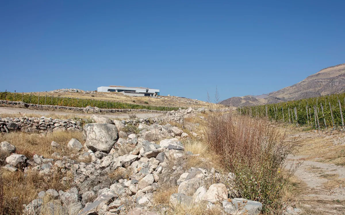 ARCHcoop Nestles a White Villa into Armenia's Wine Country Hillside at Rind Village