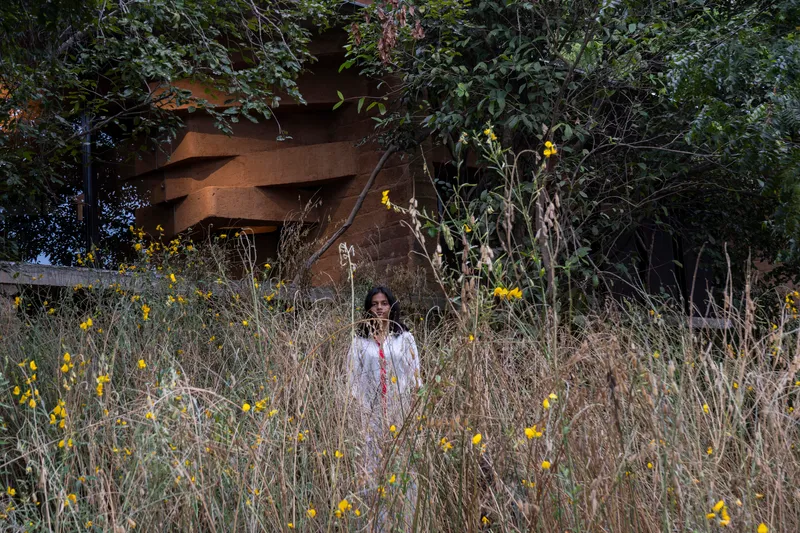 Weathered steel roof form emerging from dense vegetation with a figure standing among tall grasses