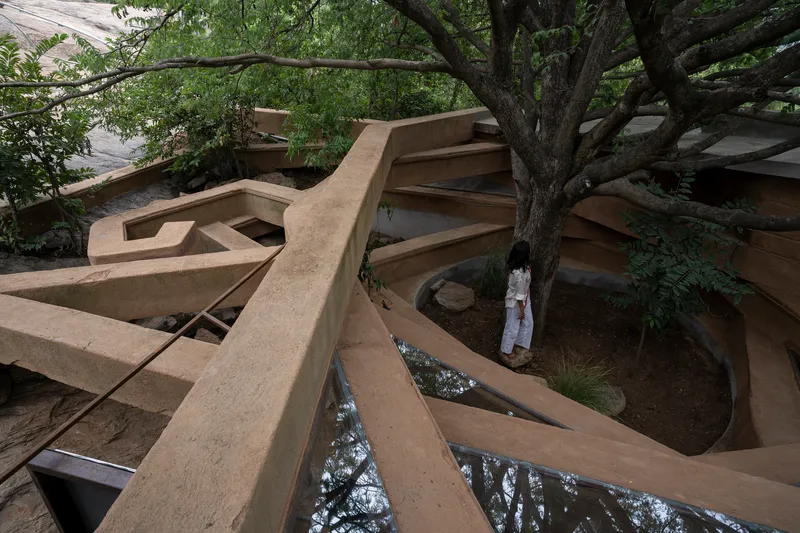 Aerial view of the cantilevered rammed earth roof wrapping around an existing tree on the rock outcrop