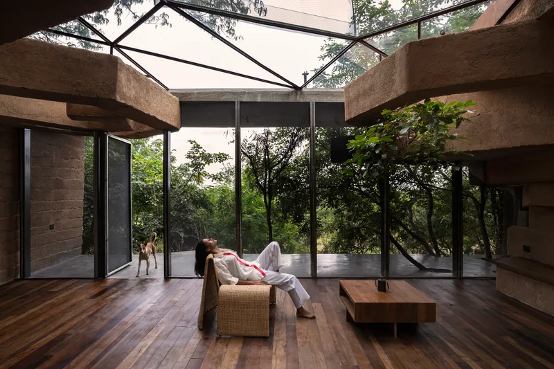 Interior living space with timber flooring and floor-to-ceiling glazing overlooking forest canopy