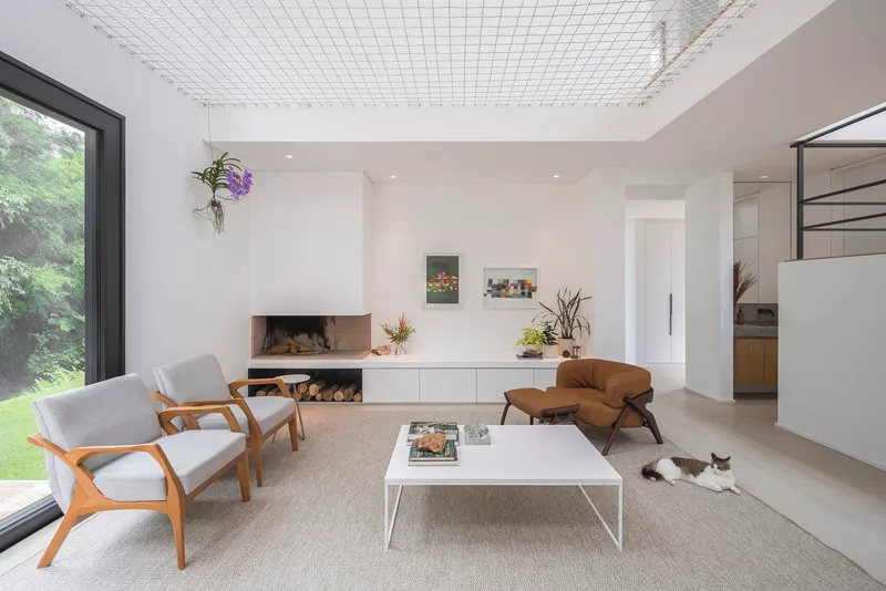 Living room with fireplace, wire mesh ceiling panel, and cat resting on carpet