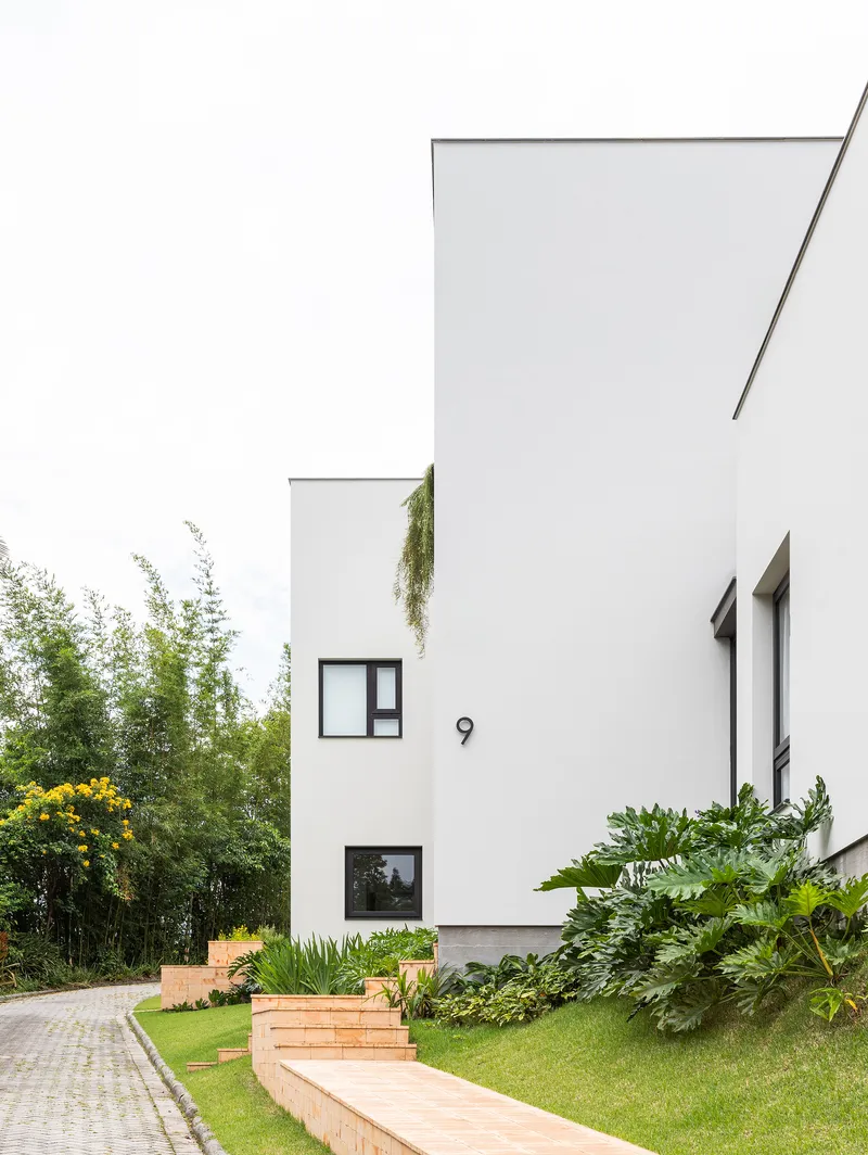 White stucco facade with angular geometry and hanging plants above a terraced lawn with timber steps