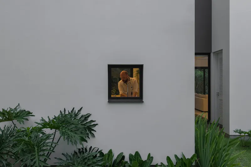 Square window framing a figure inside with tropical plants in the foreground at dusk