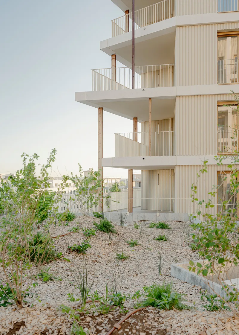 Stacked balconies with exposed timber columns rising above a gravel garden with sparse plantings