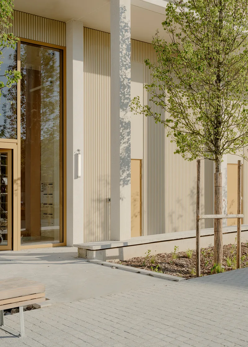 Entrance facade with white corrugated cladding and timber-framed glazing beside a young birch tree in dappled sunlight