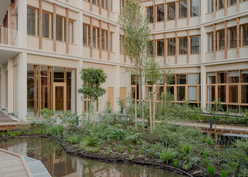 Planted courtyard garden with birch trees and grasses surrounded by timber-framed glazed facades on multiple levels