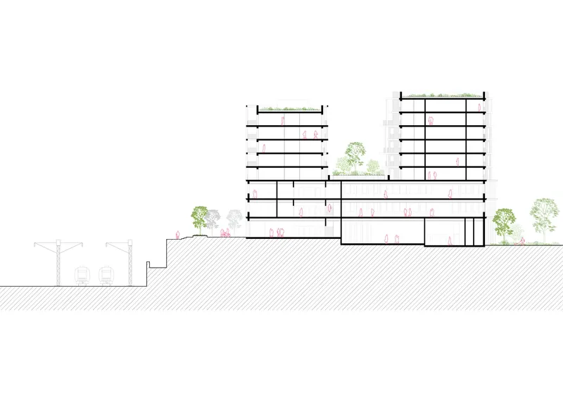 Section drawing revealing stepped volumes descending a sloped site with planted terraces and trees