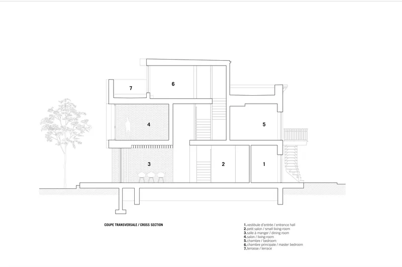 Cross section drawing showing multi-level interior spaces with stairs and a tree to the left
