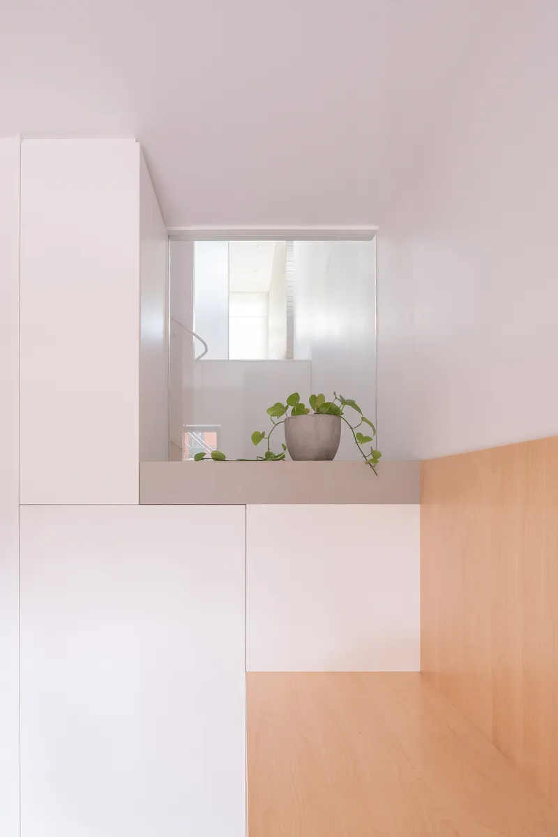 Grey ledge beneath a recessed mirror niche with a potted trailing plant beside timber cabinetry