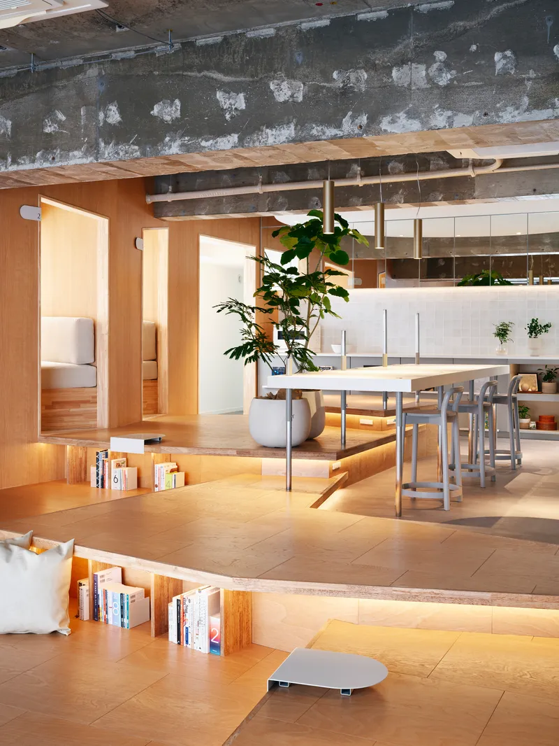 Split-level interior with timber-lined sleeping alcoves and exposed concrete ceiling beams in afternoon light