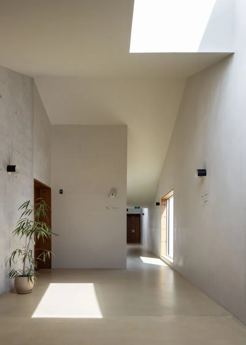 Concrete corridor with skylight opening and potted plant receiving a shaft of morning light