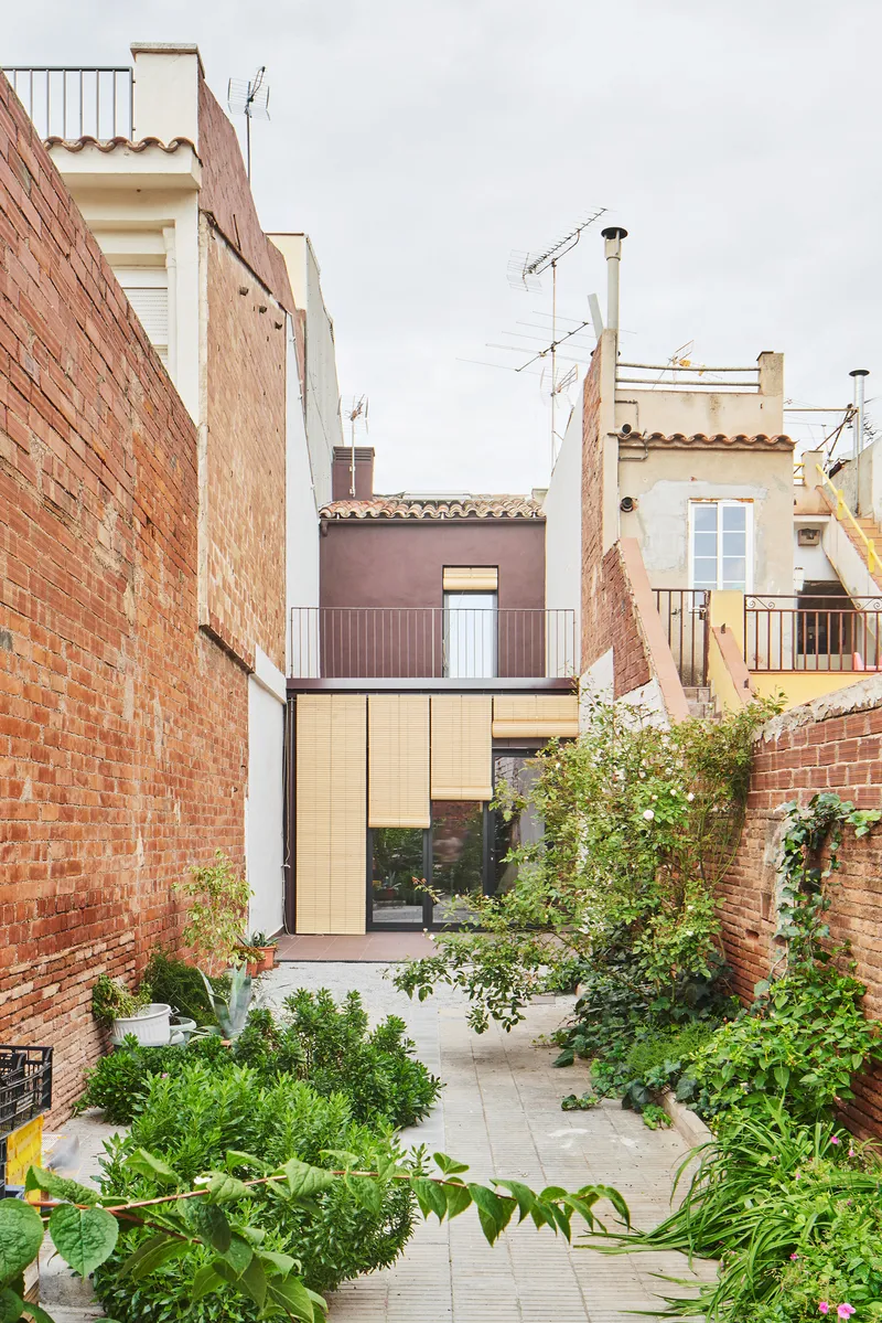 Garden courtyard with paving and dense plantings leading to the timber-clad rear extension