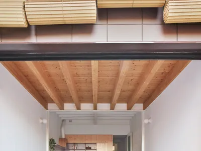 Vallribera Arquitectes Stretches a 3.8-Meter-Wide Row House into a Garden in Terrassa