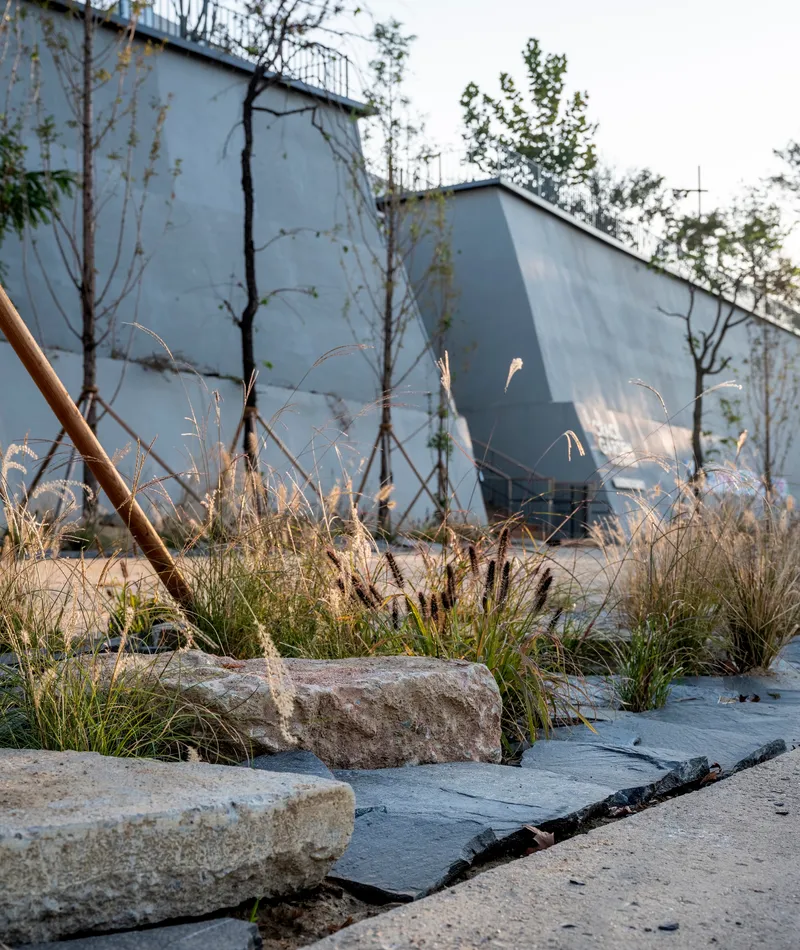 Stone boulders and ornamental grasses planted between paving slabs in front of a metal-clad facade