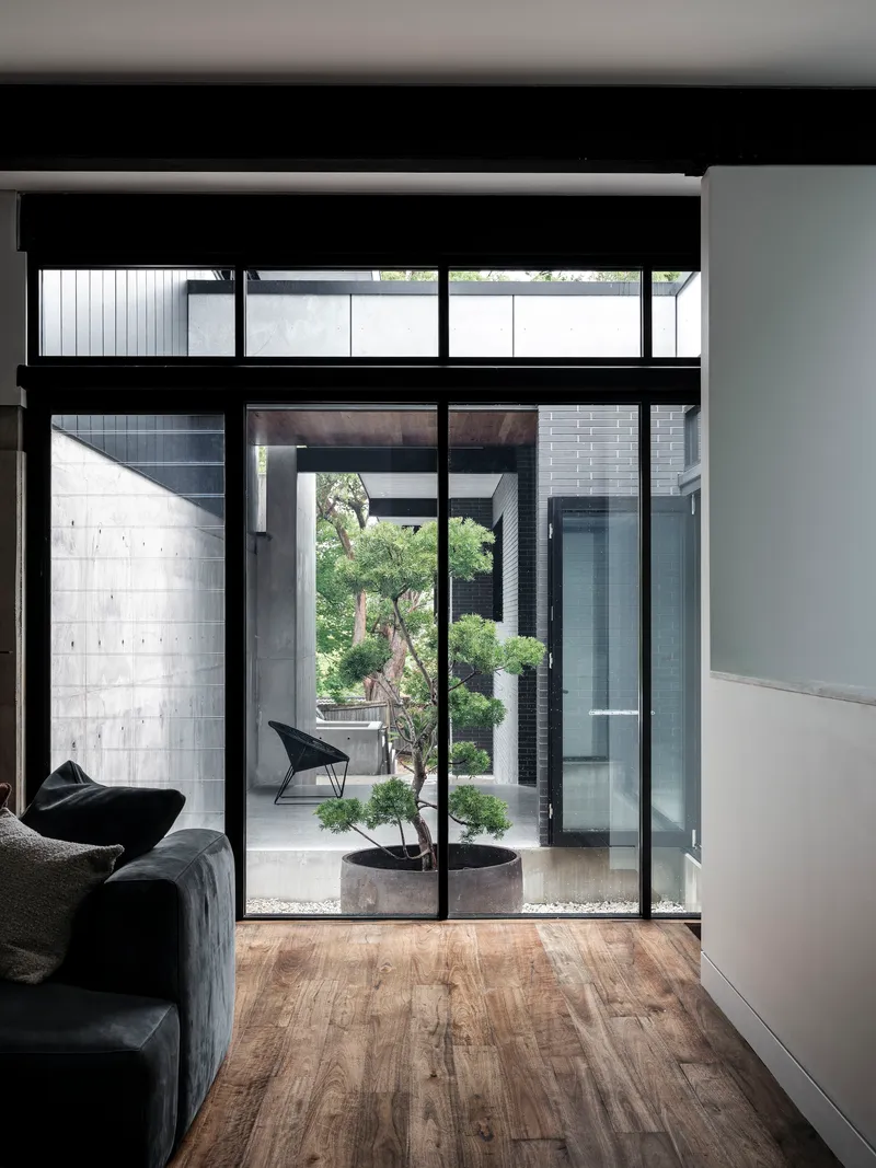 Floor-to-ceiling glazing framing an internal courtyard with a single potted tree and concrete planter