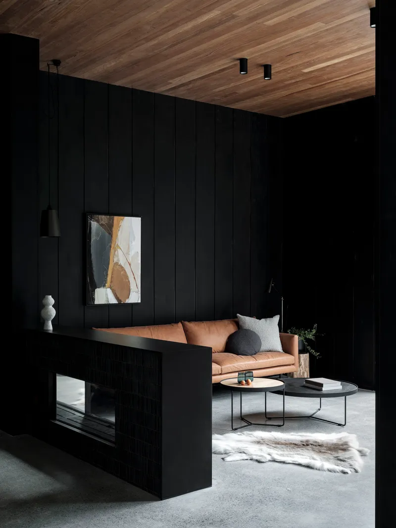 Living area with black vertical paneling and timber ceiling in low afternoon light