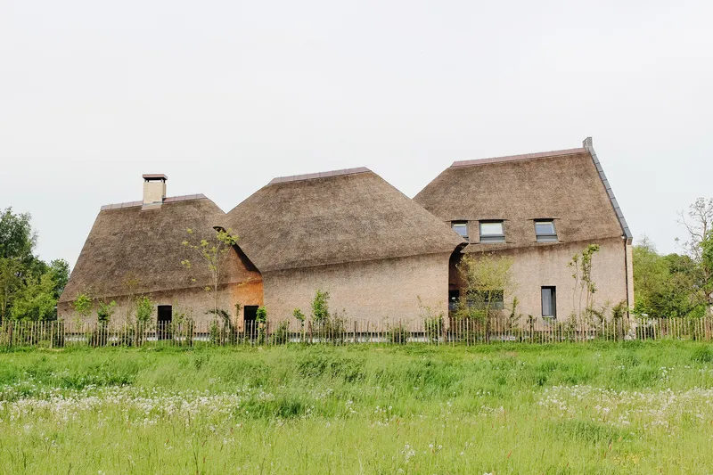 Thatched roof volumes seen across a wildflower meadow with wooden fence and young saplings
