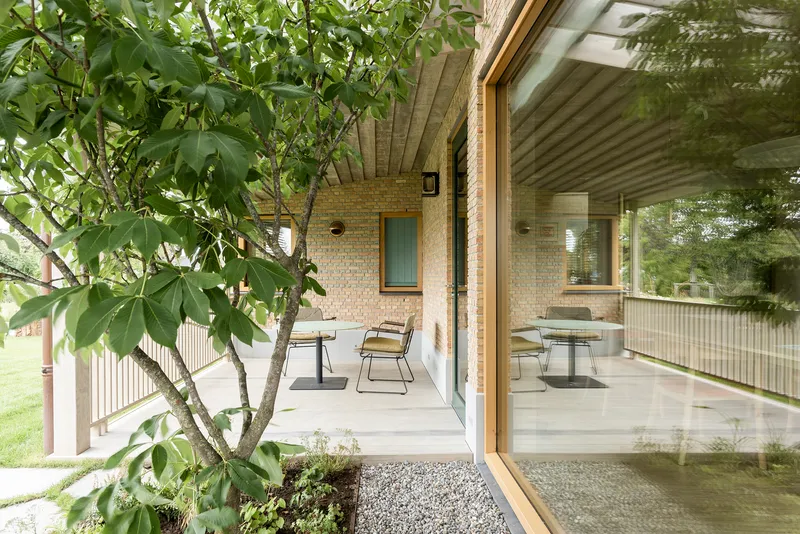 Covered terrace with exposed timber ceiling beams and planted tree beside outdoor seating area