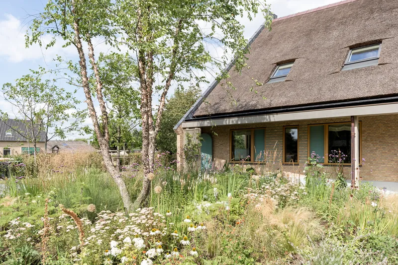 Thatched roof dwelling with yellow brick walls beyond a wildflower meadow and birch trees