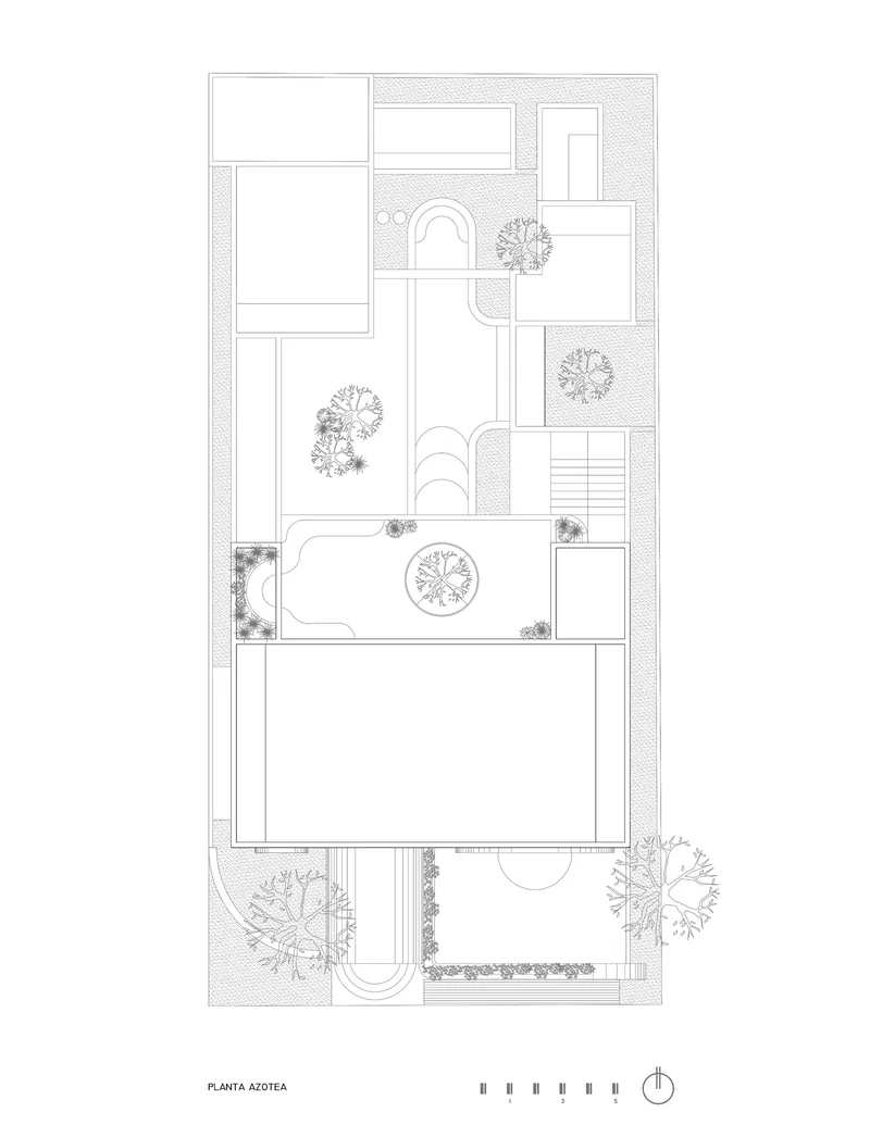 Roof level plan showing terrace and pool deck with surrounding landscaped zones