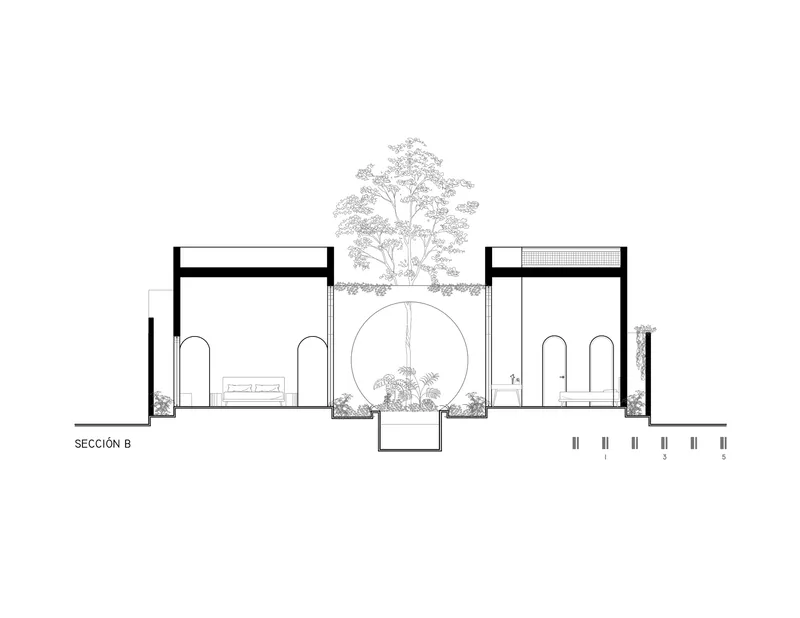 Section drawing revealing courtyard with tall tree framed by circular opening between symmetrical vaulted rooms