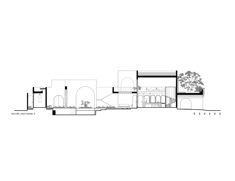 Longitudinal section drawing showing split-level arrangement with staircase and planted terraces under flat roof