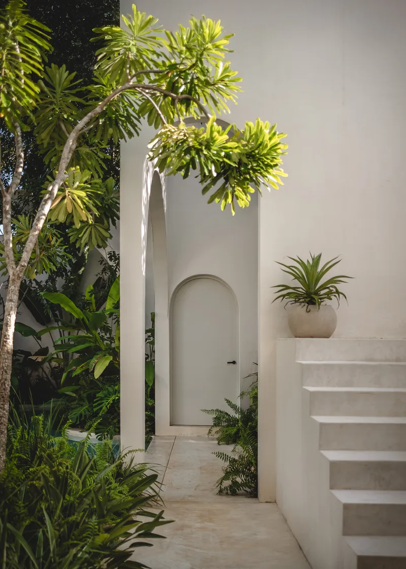 White exterior staircase beside an arched doorway with a potted bromeliad and overhanging tree branches