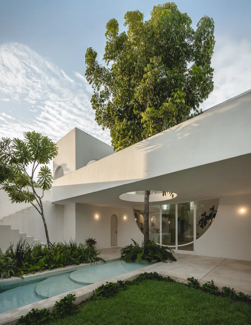 Exterior courtyard with curving pool edge and circular opening framing a tree trunk at dusk