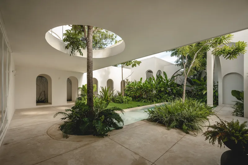 Interior courtyard with circular skylight framing tree trunk surrounded by ferns and shallow reflecting pool
