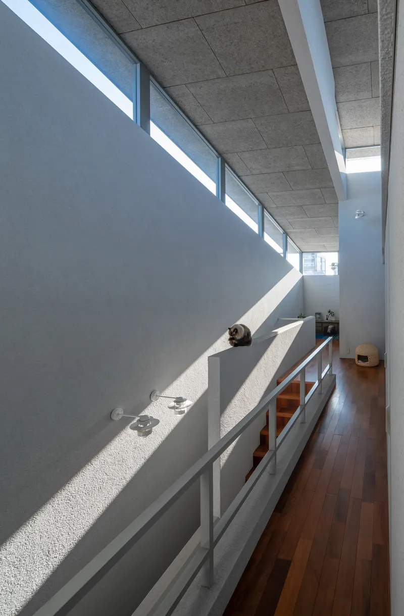 Upper hallway with concrete ceiling and clerestory windows throwing sharp diagonal light across white walls