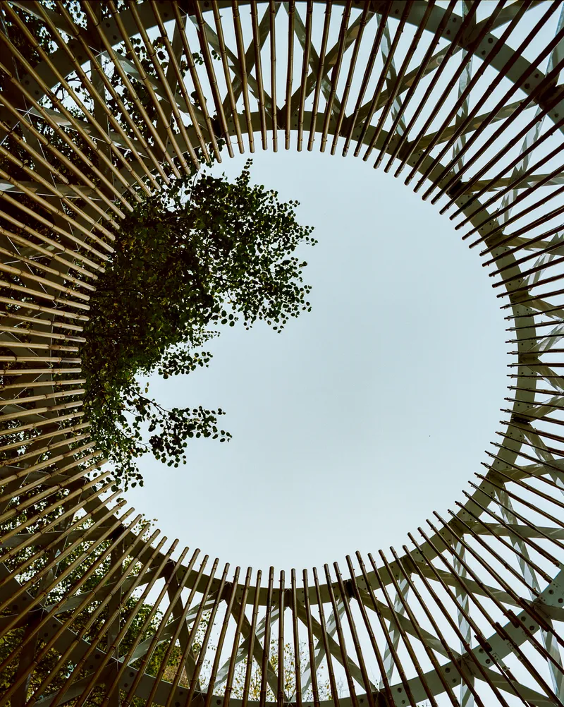 Upward view through the circular opening at the top of the timber lattice structure framing the sky