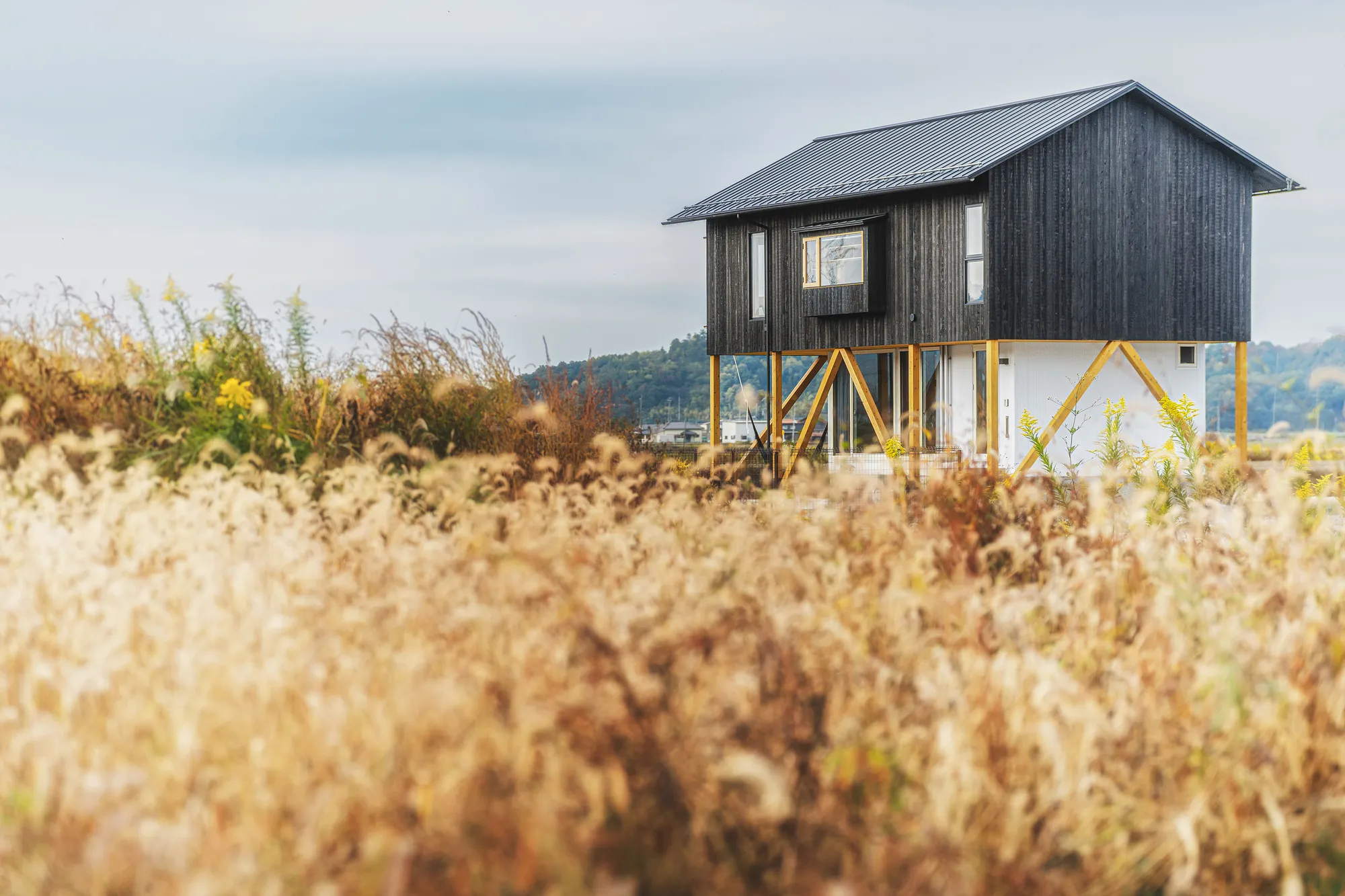 Ushijima Architects Floats a Charred Cedar House Above a Former Lakebed in Japan